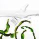 Сироватка The Ordinary Marine Hyaluronics 30ml A014 фото 5