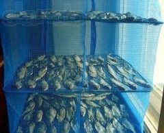 Сушилки, делаем таранку, сушилка для рыбы, для сухофруктов, грибов, 5 полок, 45 х 45 х 100 см н1105 фото